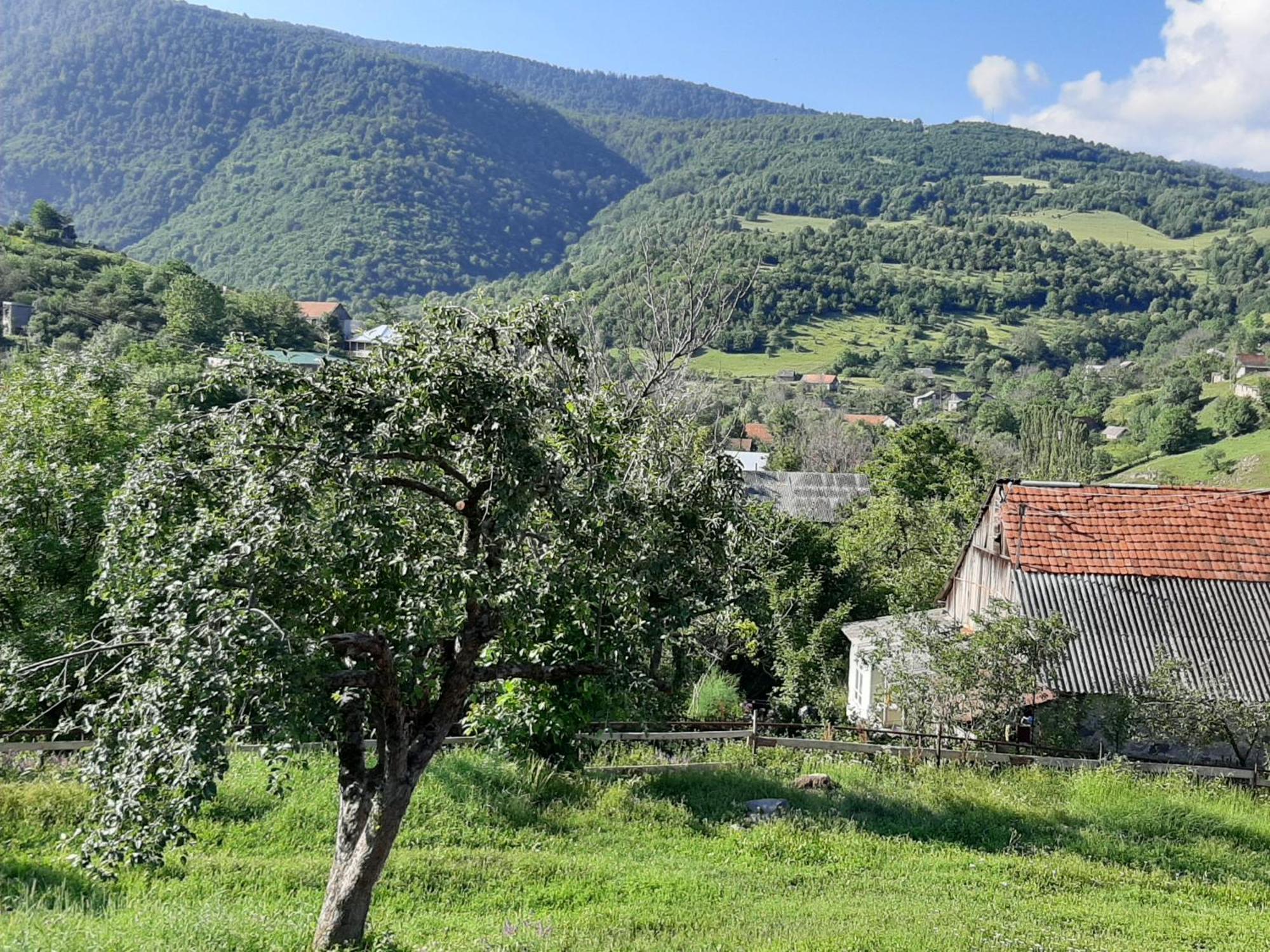 Chamich Guesthouse Debed Zewnętrze zdjęcie